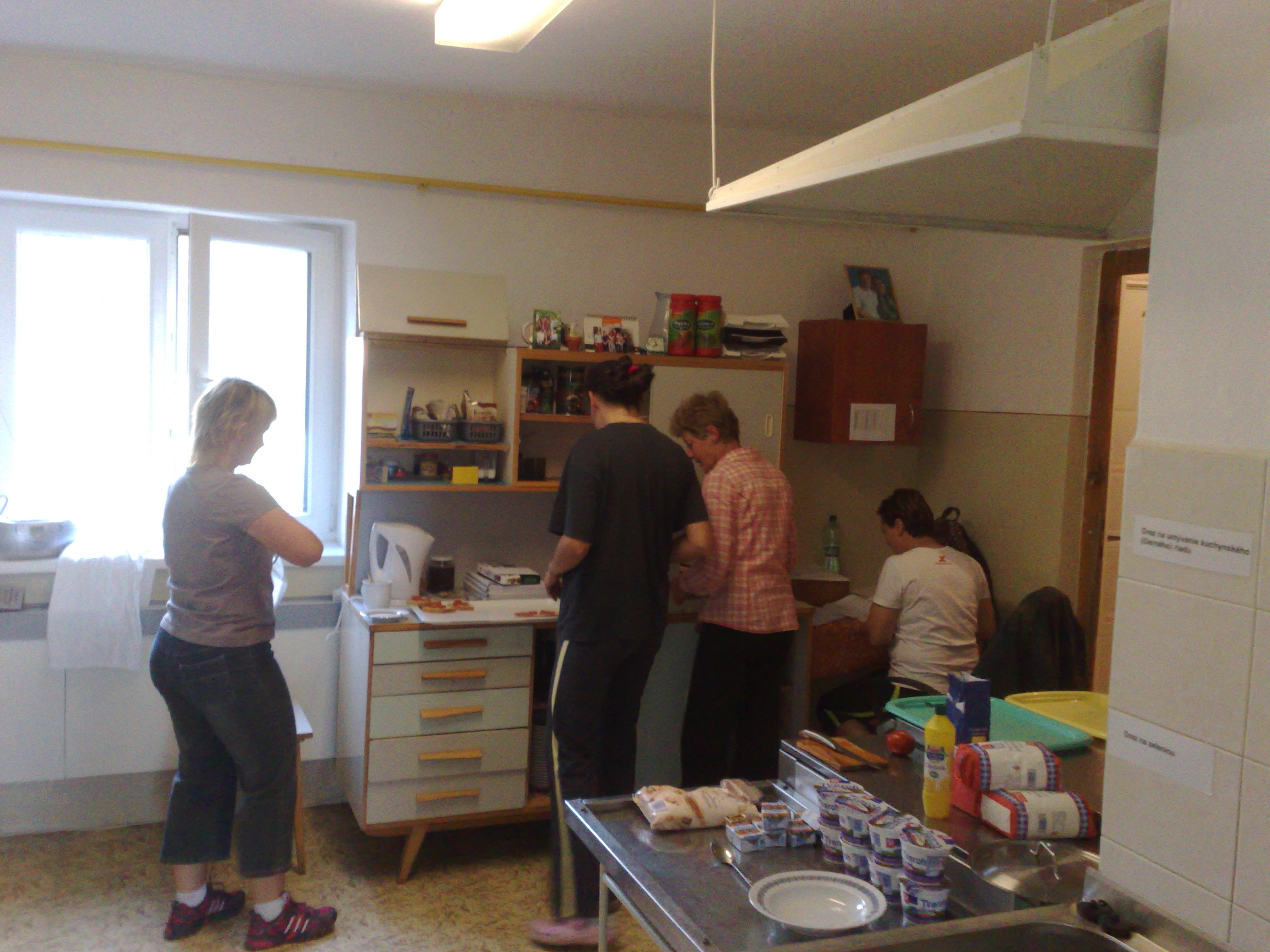 včielky v plnom nasadení.jpg